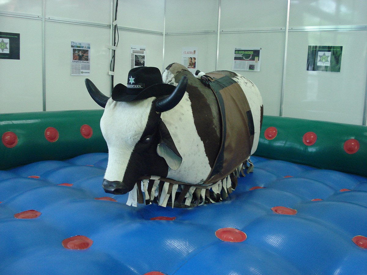 bullride1
